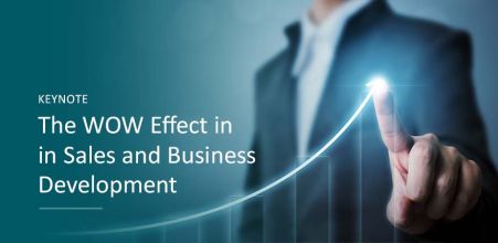 The WOW Effect in Sales